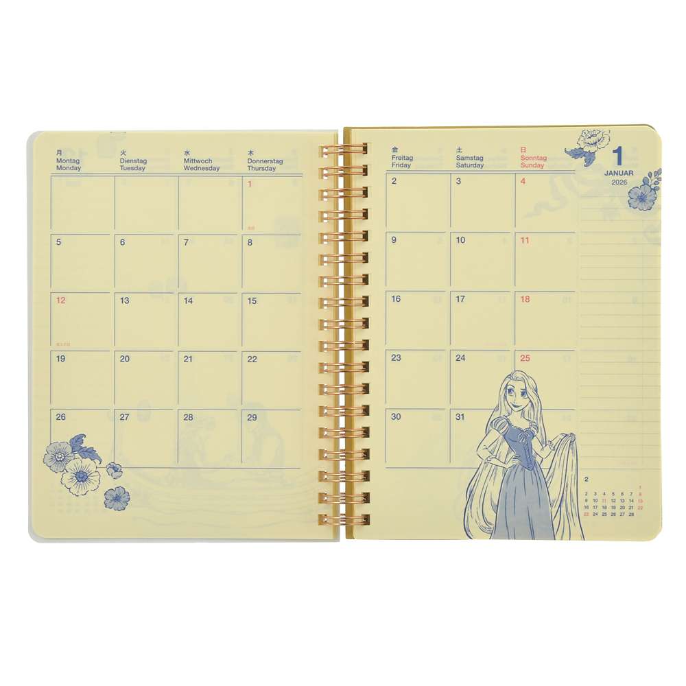 Rapunzel Rollbahn Schedule Book CALENDARS & ORGANIZERS 2026