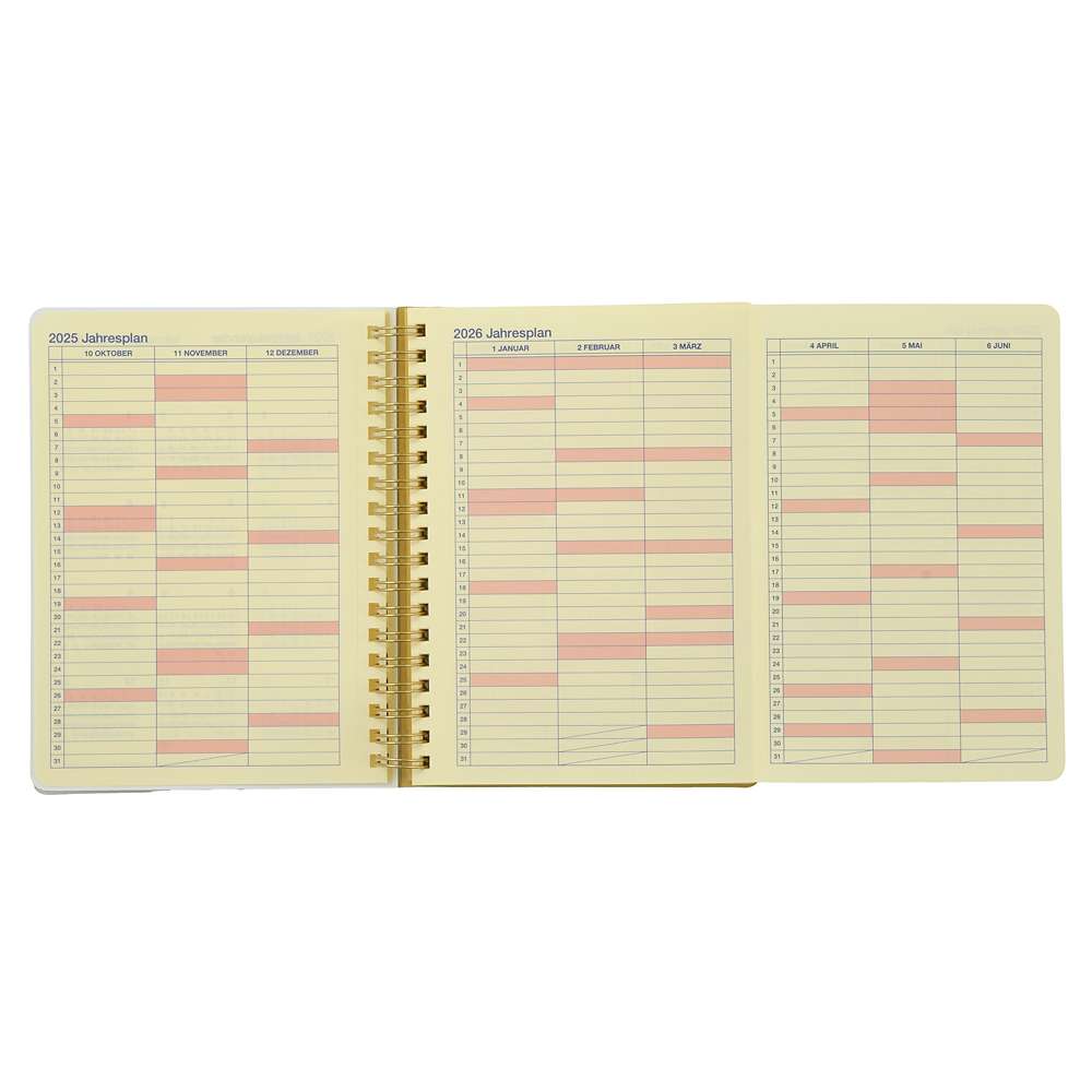 Pooh Rollbahn Schedule Book CALENDARS & ORGANIZERS 2026
