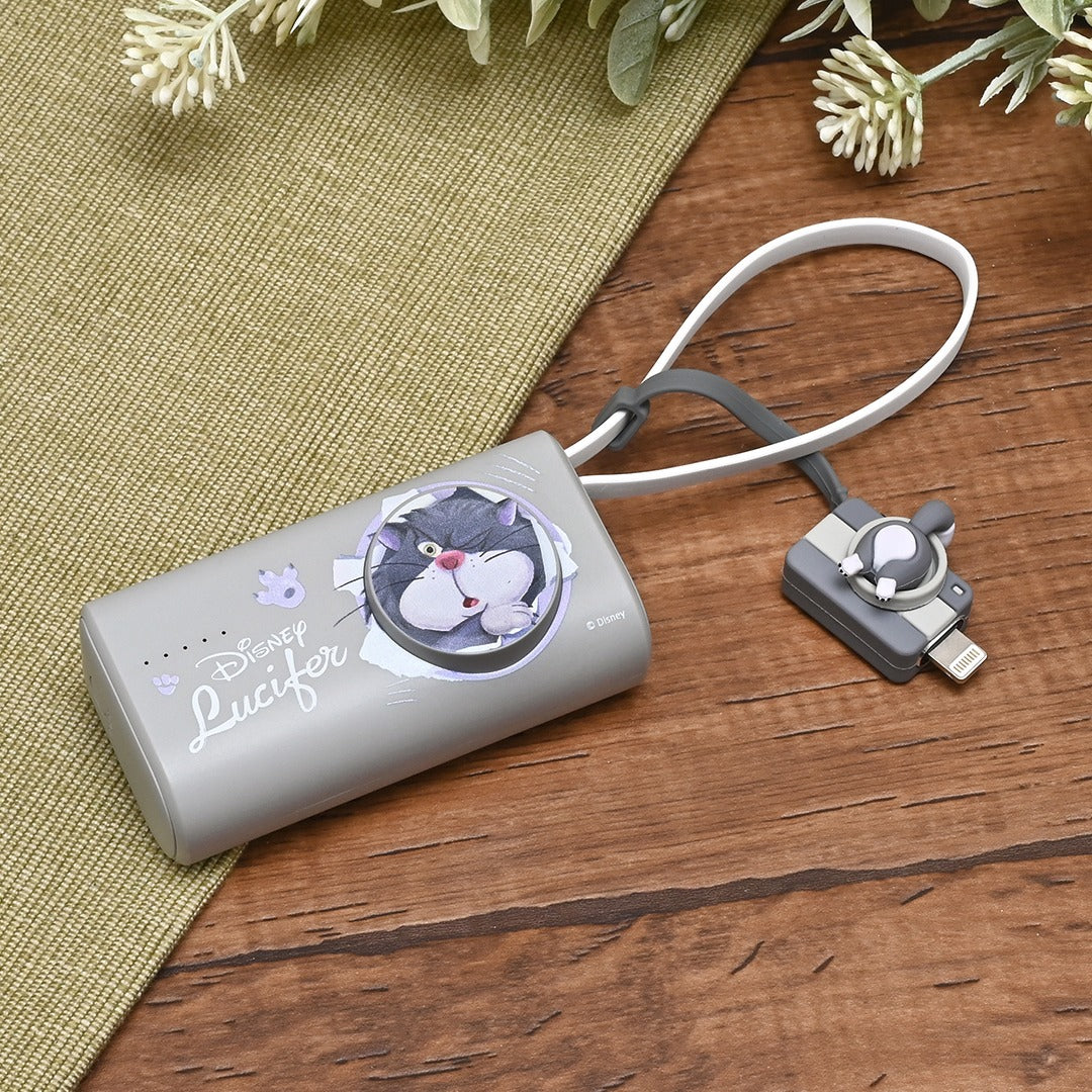 台灣 InfoThink Lucifer/ Mickey / Stitch/ Pooh 快速充電器