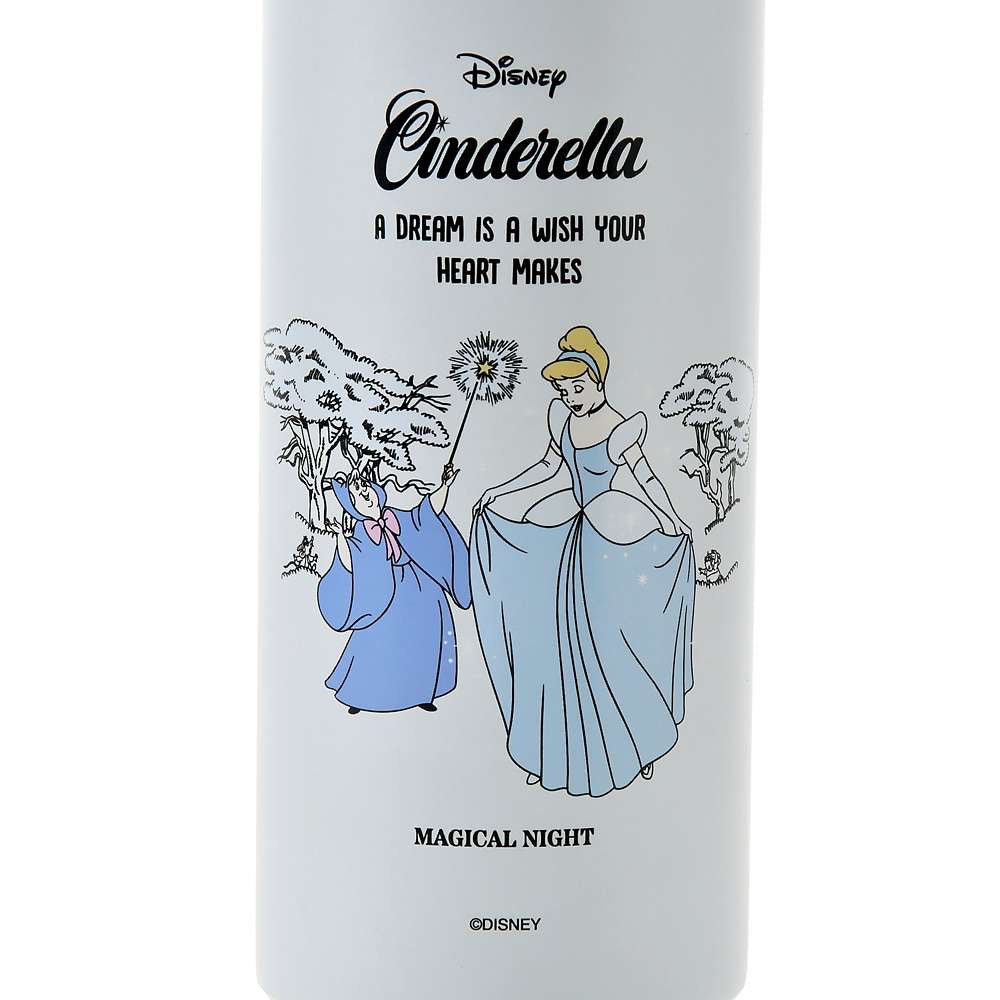Pooh/ Peter Pan/ Cinderella/ Aurora 保溫水樽連飲筒 STORY BOTTLE COLLECTION DRINKWARE