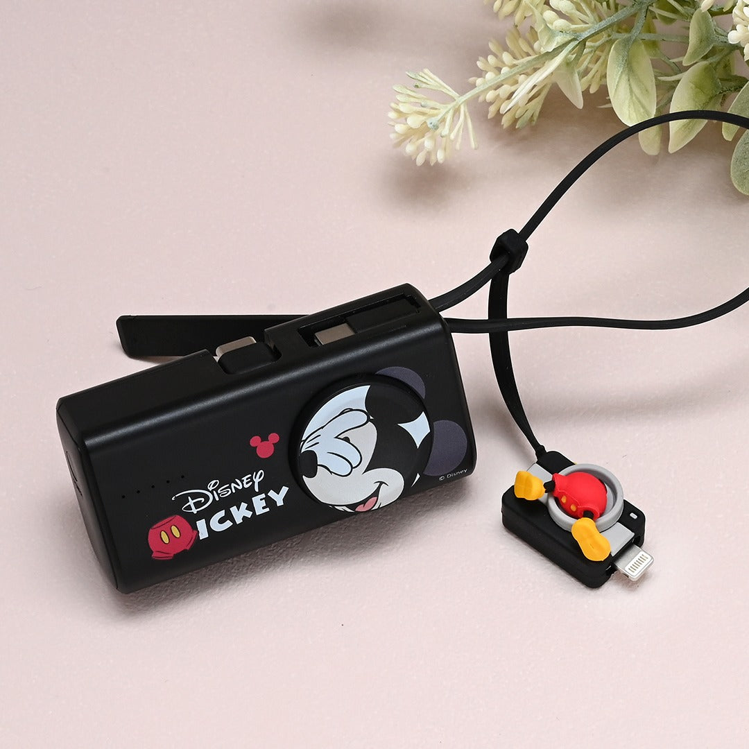 台灣 InfoThink Lucifer/ Mickey / Stitch/ Pooh 快速充電器
