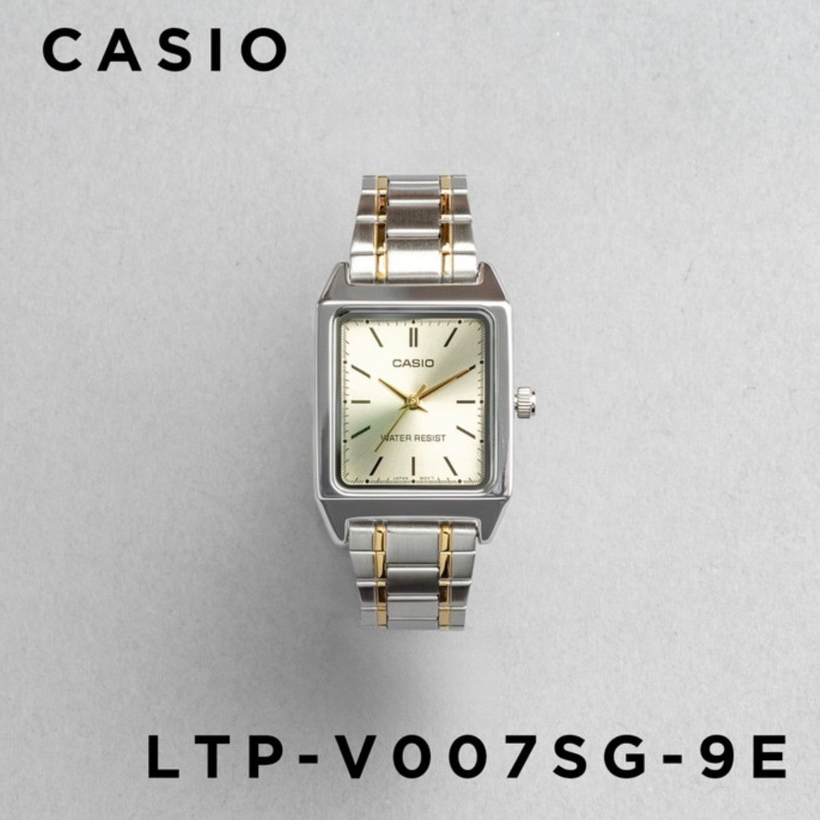 CASIO | LTP-V007 女裝鋼錶 10色