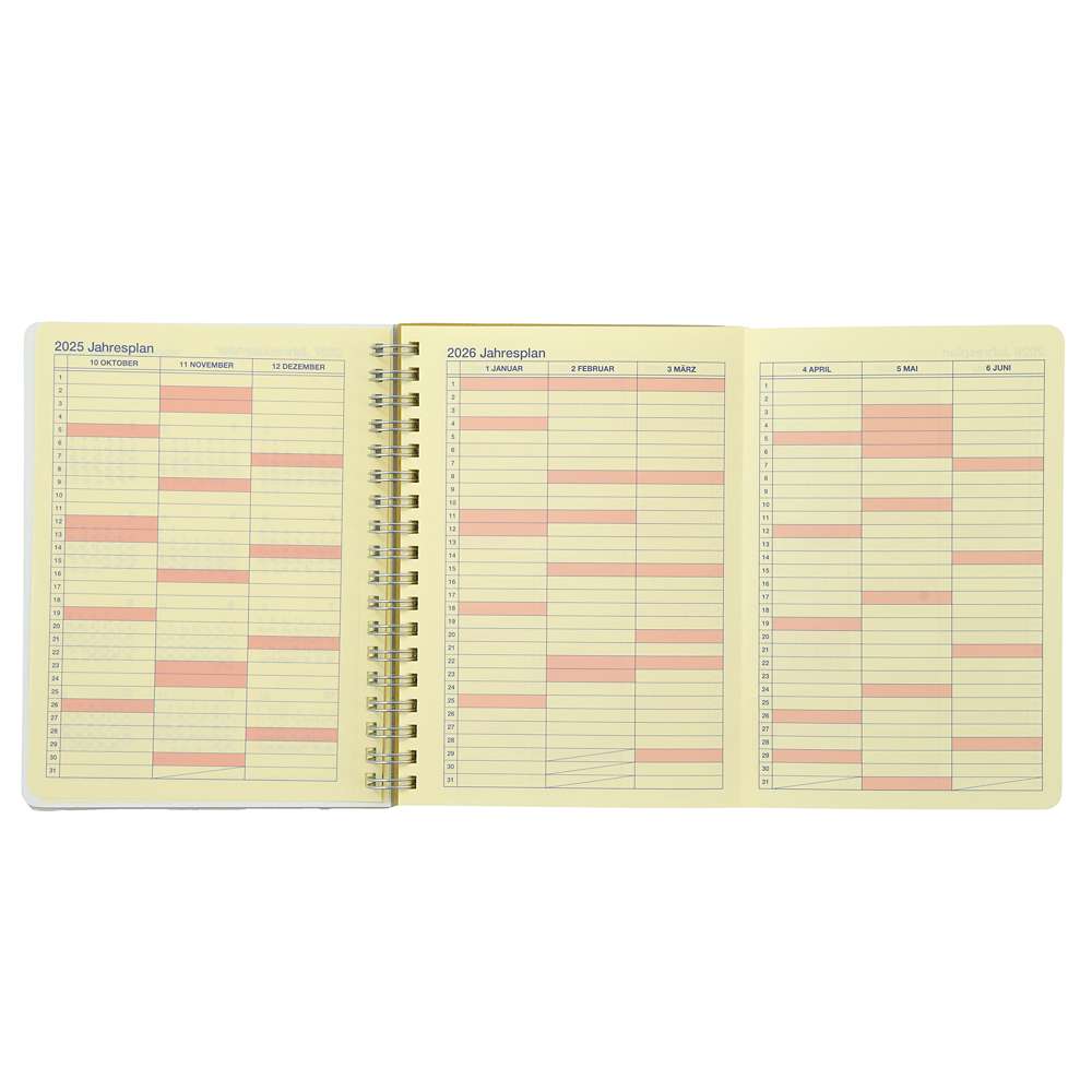 Stitch Rollbahn Schedule Book CALENDARS & ORGANIZERS 2026