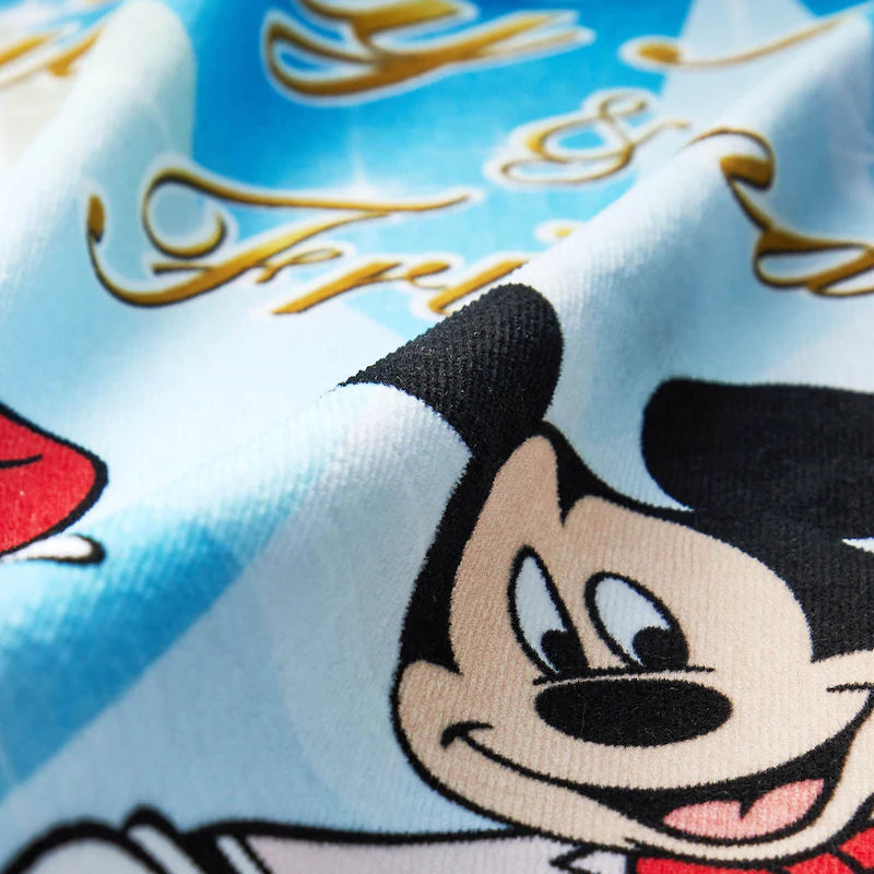 Mickey & Friends 掛布 橫額掛布