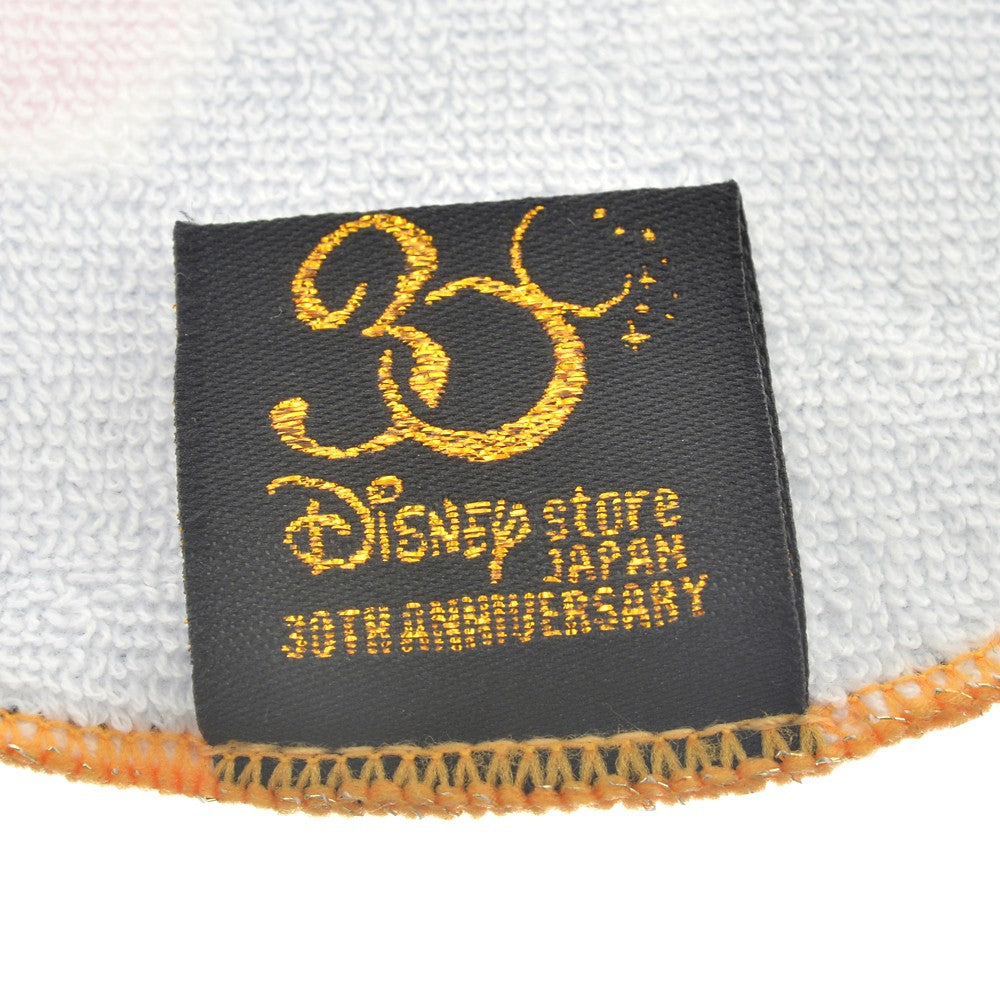 Mickey and Friends / Pooh & Friends 手巾仔 Disney store 30th ANNIVERSARY COLLECTION