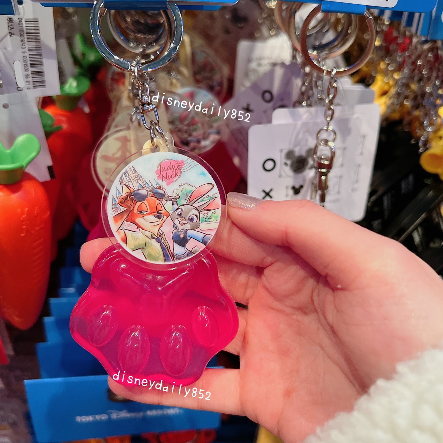 現貨 Zootopia 雪條匙扣 Judy & Nick