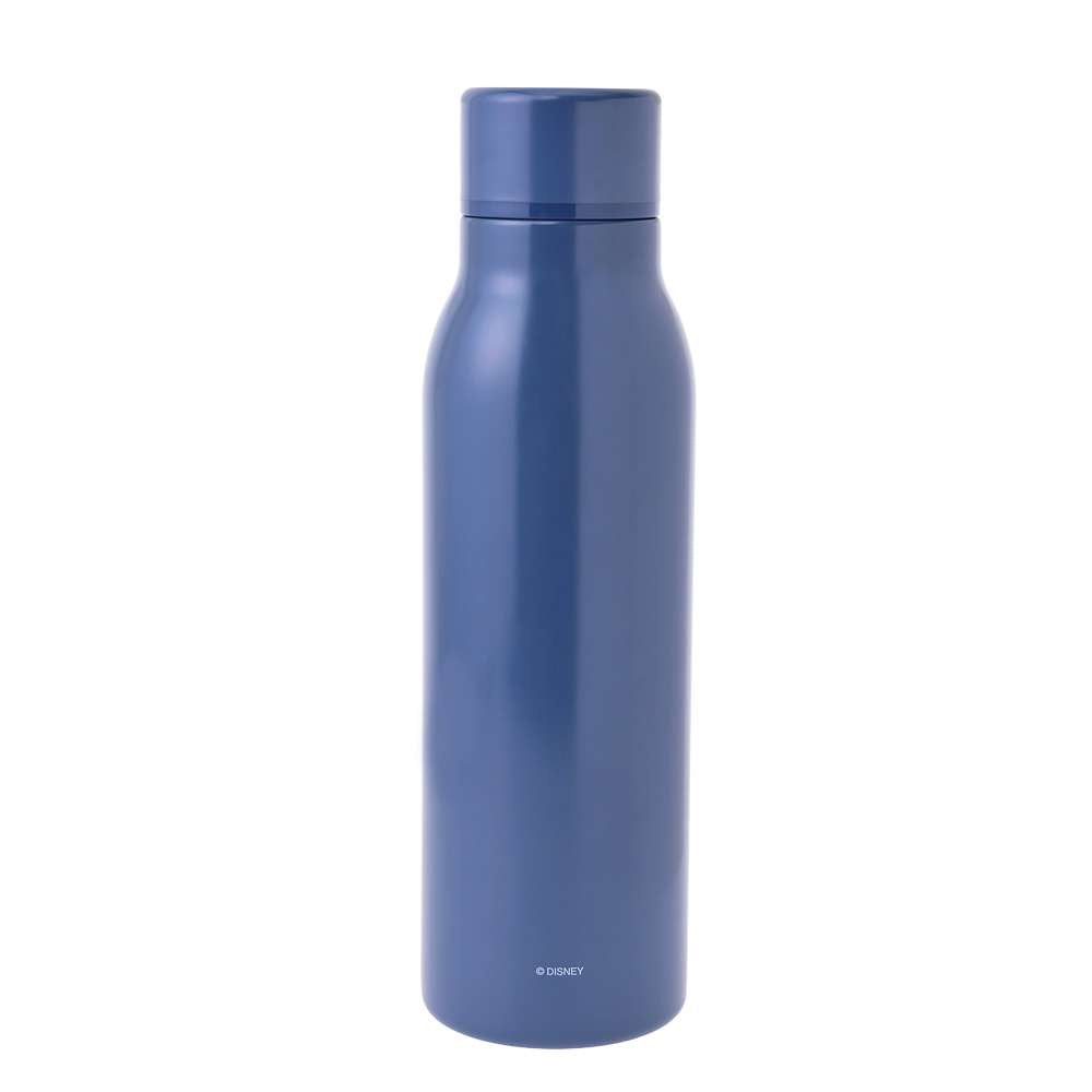 Donald/ Baymax 保溫瓶 - Drinkware