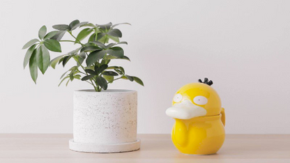 6月 Pokemon 傻鴨超可愛陶瓷茶壺