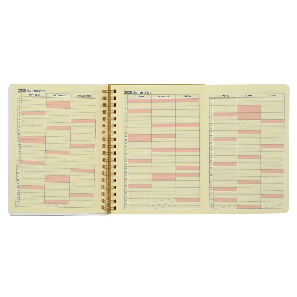 Rapunzel Rollbahn Schedule Book CALENDARS ＆ ORGANIZERS 2026