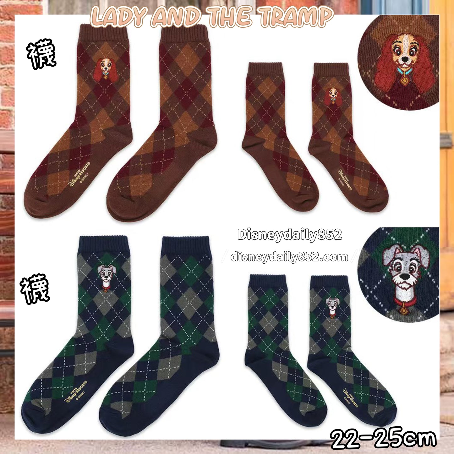紅色/綠色 襪 - LADY AND THE TRAMP