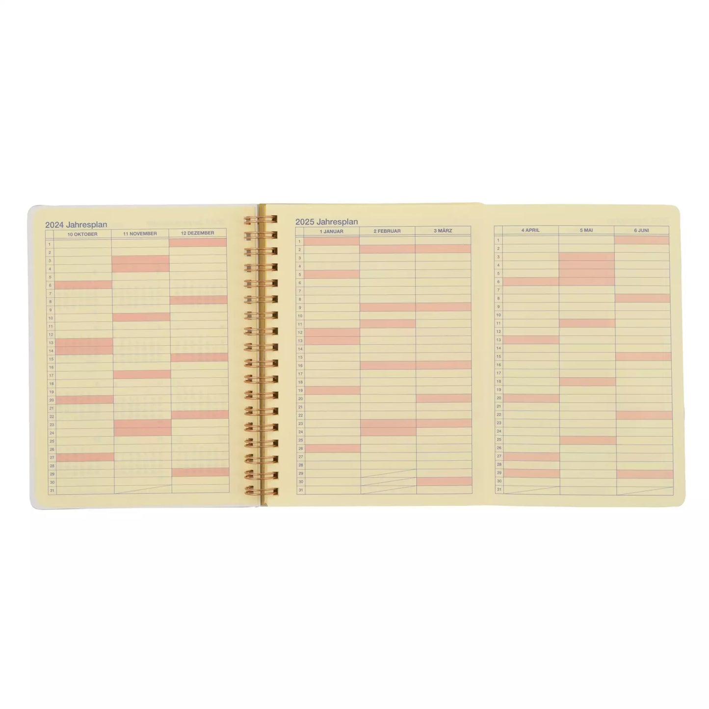 Donald Rollbahn 手帳 Schedule Calendar＆Organizer 2025