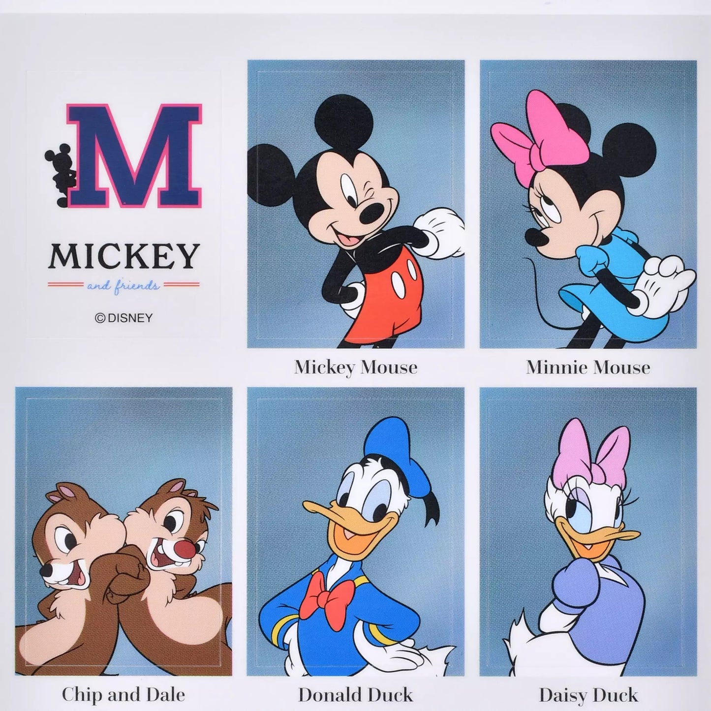 Mickey & Friends 畢業風貼紙 Sticker Collection