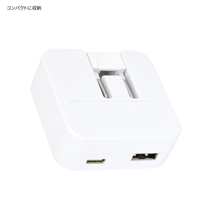 Miffy Strawberry 2腳日本用 USB / USB Type-C AC Adapter (旅行用)