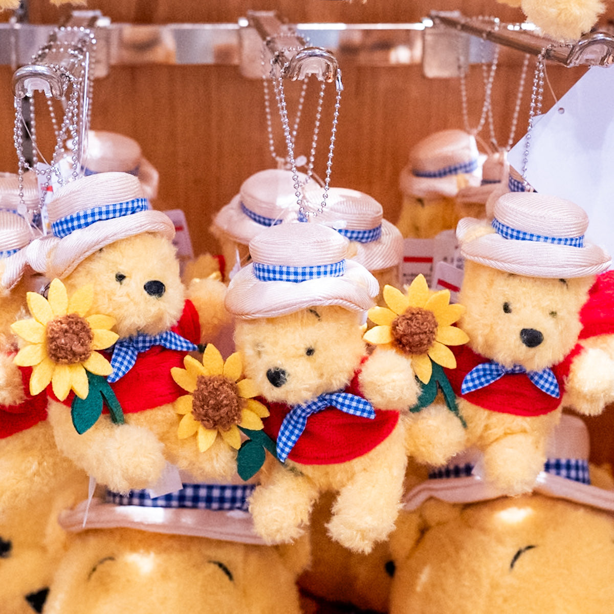 向日葵Pooh Pooh 掛飾 | 東京迪士尼樂園