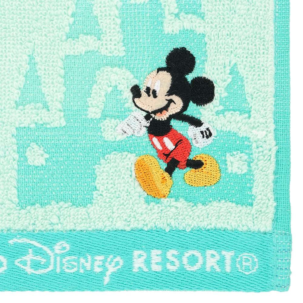 Mickey/ Minnie/ Donald/ Daisy 毛巾仔 - DisneyLand 園區 Resort
