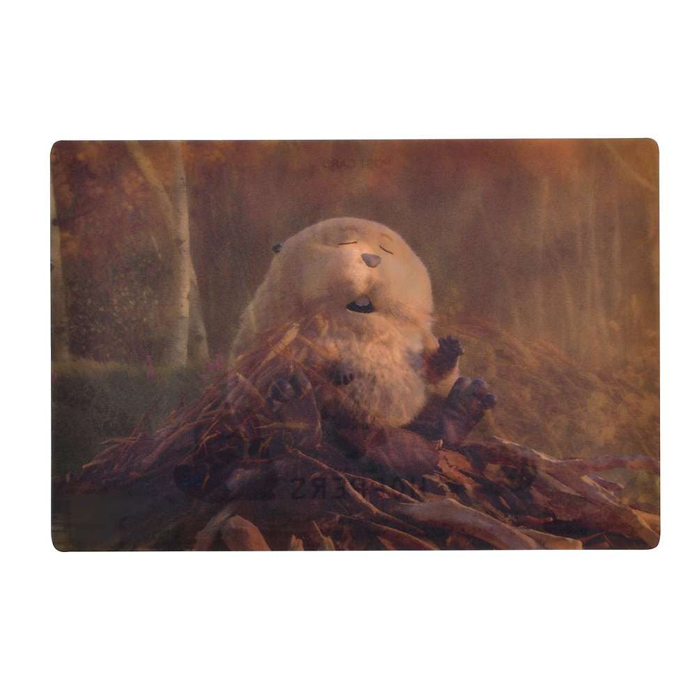 喬治國王/ Hoppers/ Hoppers們/ Hoppers 們水壩 - 3D Postcard