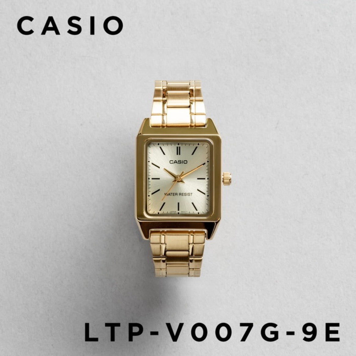 CASIO | LTP-V007  女裝鋼錶 10色