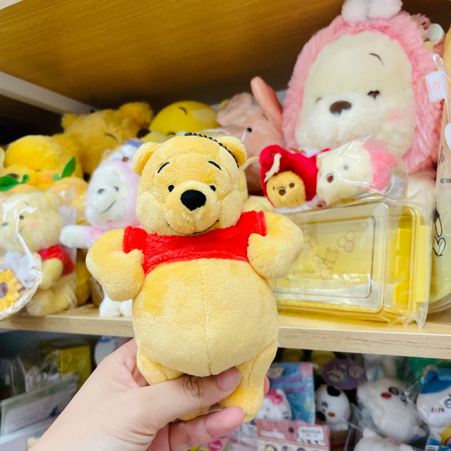 現貨 Funny Face Pooh 肚皮匙扣