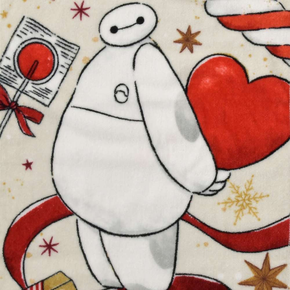 Baymax - 長毛巾套裝