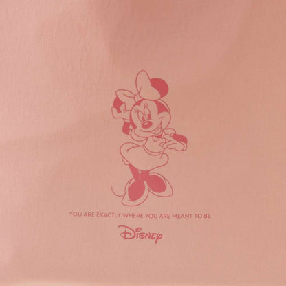 Mickey/ Minnie/ Donald/ Pooh 2Way 斜揹袋