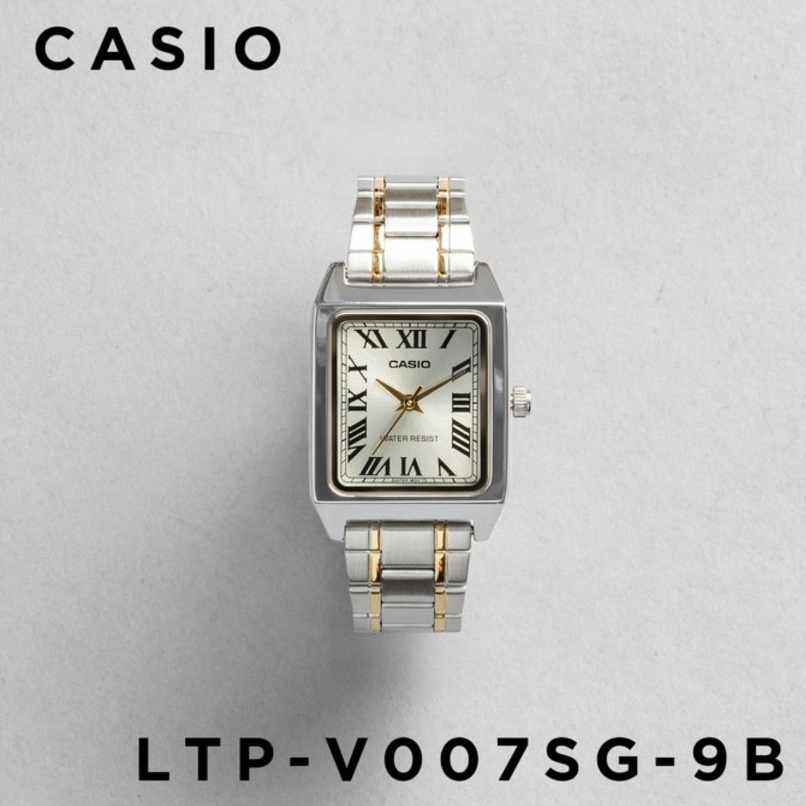 CASIO | LTP-V007  女裝鋼錶 10色