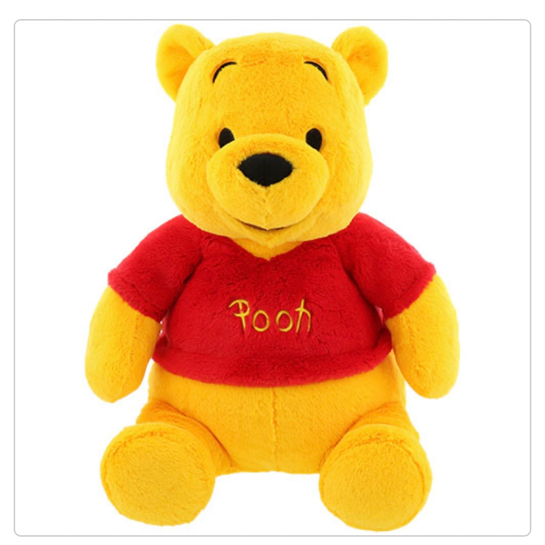 Pooh 毛毛大公仔