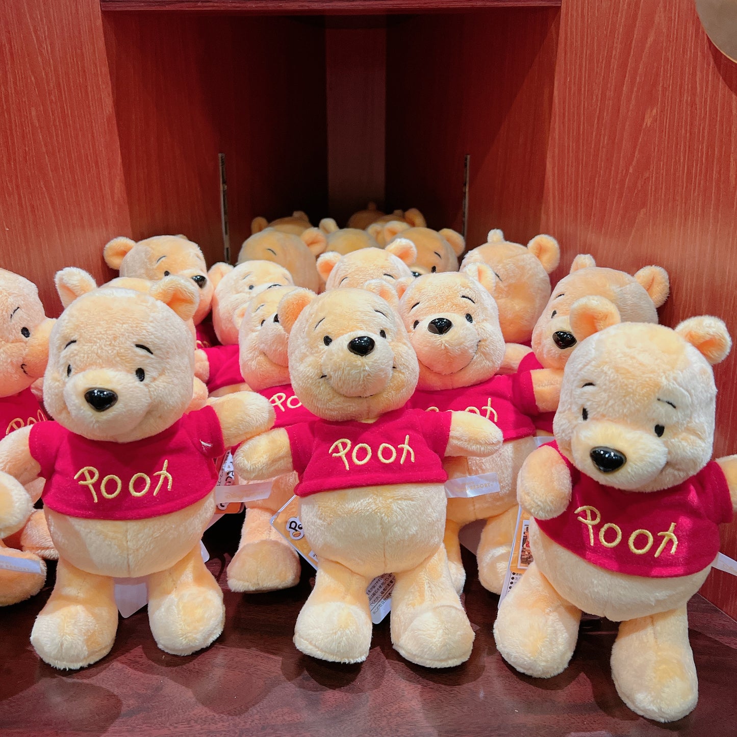 Pooh Pozy Plushy